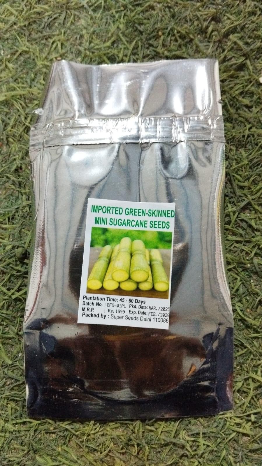 Shade-Tolerant and Cold-Hardy Hosta Flowers (Pack of 2)