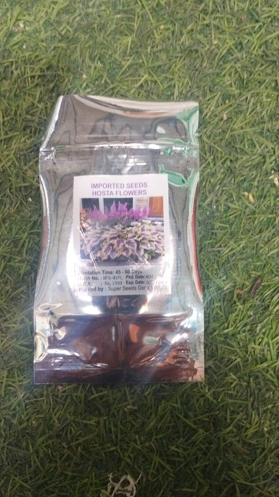Shade-Tolerant and Cold-Hardy Hosta Flowers (Pack of 2)