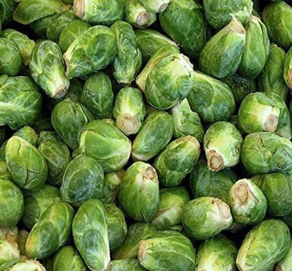 Nema organic brussels sprouts seeds