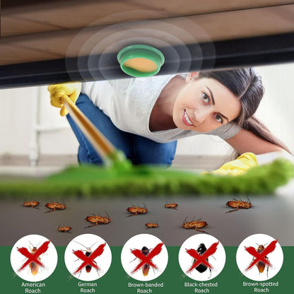 Cockroach Killer  Pack of 12