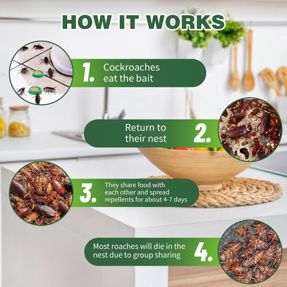 Cockroach Killer  Pack of 12