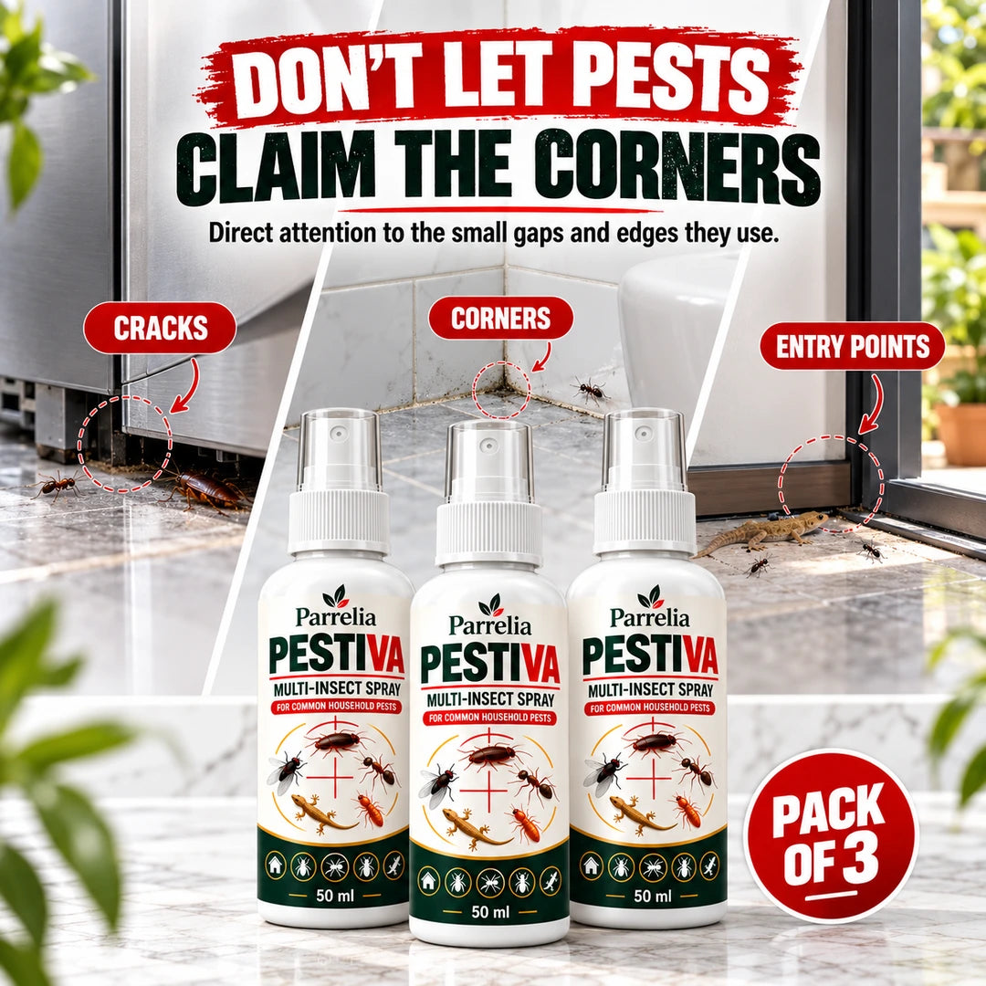 Pestiva Multi-Insect Spray Pack of 3 - Cracks Corners and Entry Points