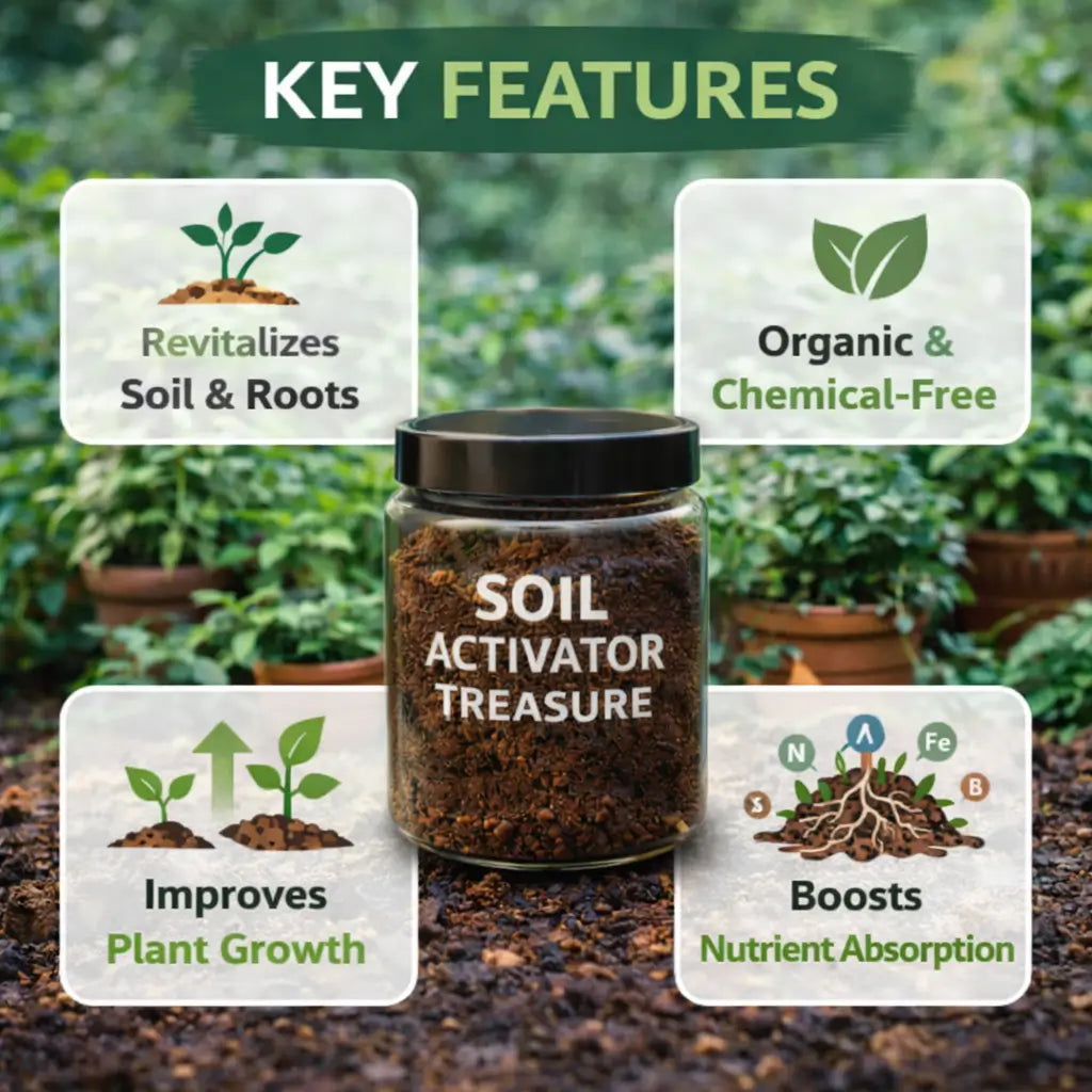 Premium Soil Activator 200gram Buy 1 Get 1 Free